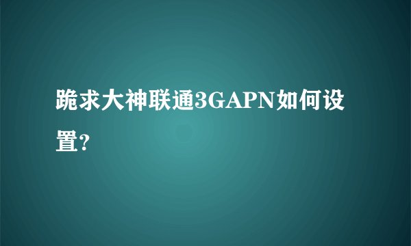 跪求大神联通3GAPN如何设置？