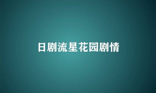 日剧流星花园剧情