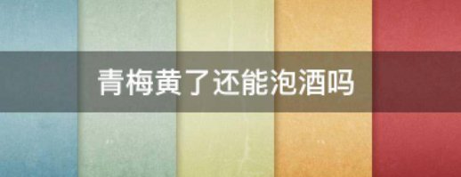 青梅黄了还能泡酒吗