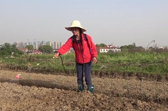 农事活动有哪几类？