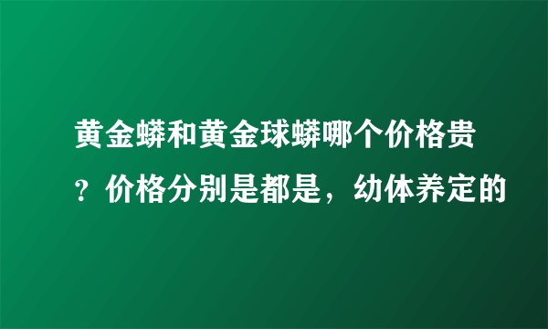 黄金蟒和黄金球蟒哪个价格贵？价格分别是都是，幼体养定的
