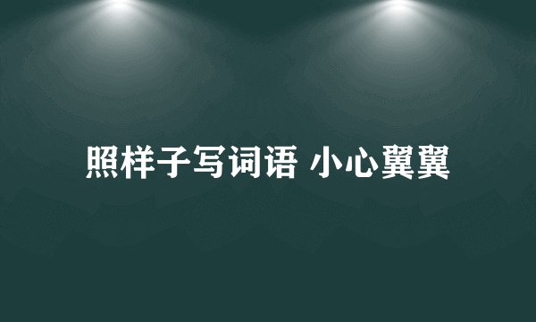 照样子写词语 小心翼翼