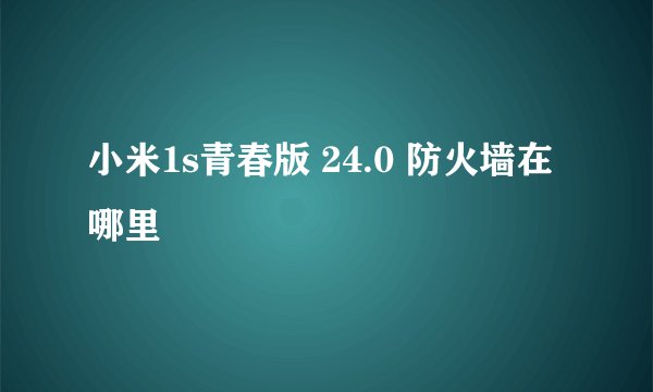 小米1s青春版 24.0 防火墙在哪里