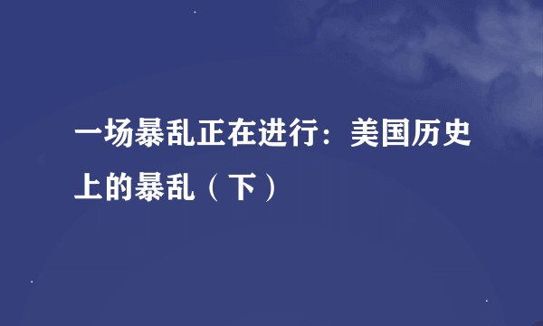 一场暴乱正在进行：美国历史上的暴乱（下）