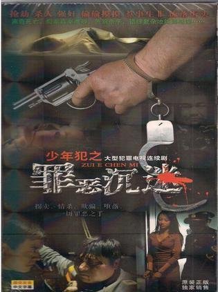 少年犯之罪恶沉迷的内容简介