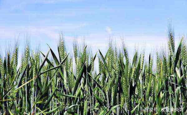 2020年是几点钟立春