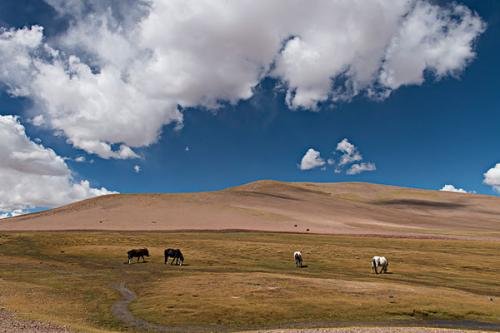最美医生周南去世，她有哪些精神值得当代人学习？