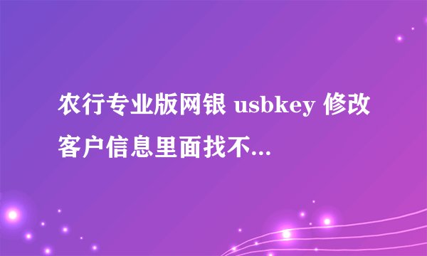 农行专业版网银 usbkey 修改客户信息里面找不到客户服务