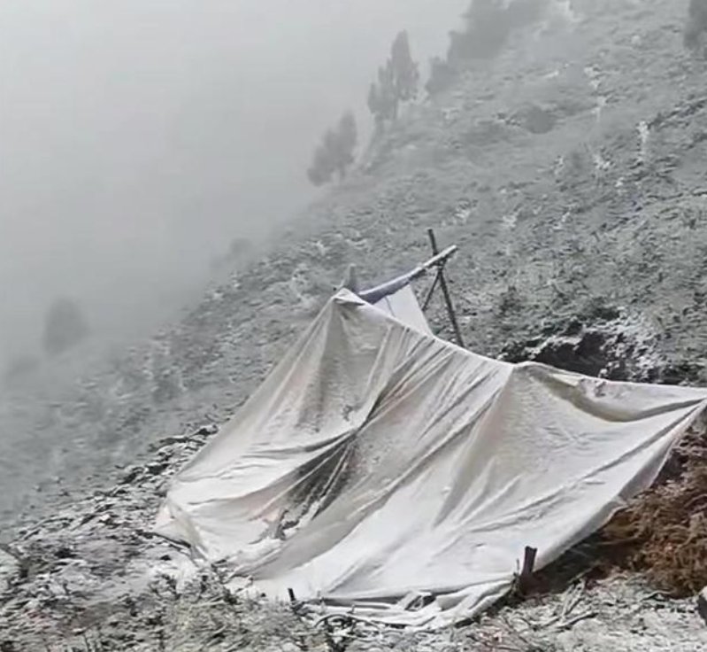 七月飞雪！甘肃肃南有牧民帐篷被压塌，极端天气为何越来越频多了？