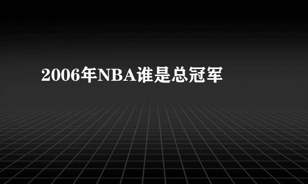 2006年NBA谁是总冠军