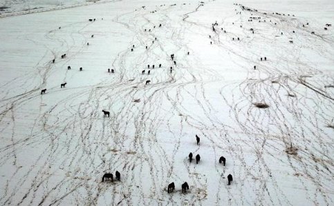 祁连山现“雪中骏马图”，为何四月份了祁连山还会大降雪？