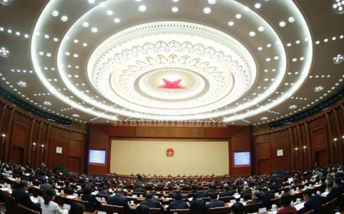 代表连续4年建议牡丹为国花，为何牡丹比较适合做国花？