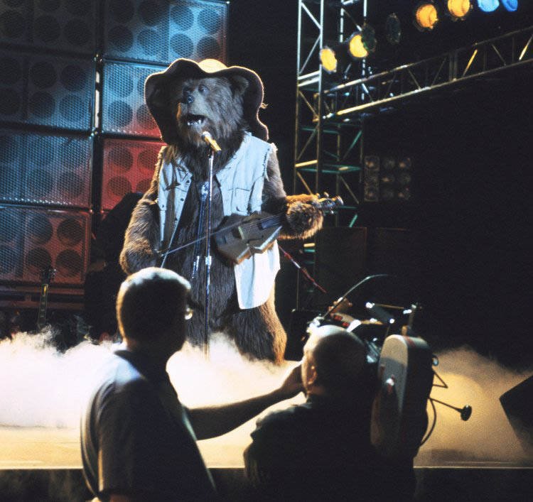 乡村熊的影片背景