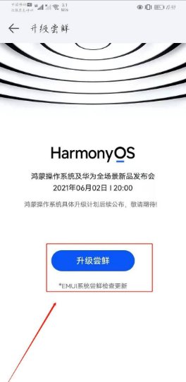 华为p40支持鸿蒙系统吗
