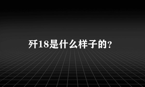 歼18是什么样子的？
