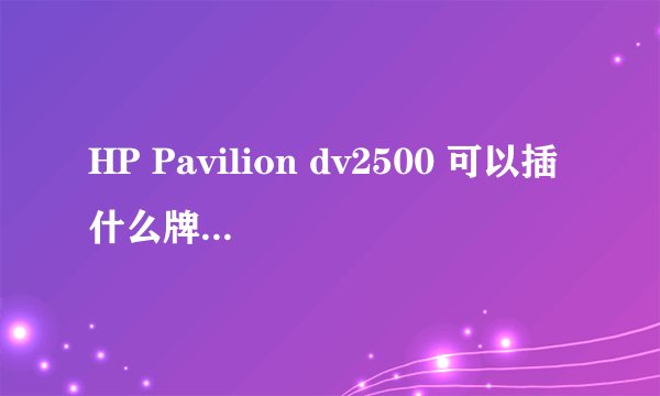 HP Pavilion dv2500 可以插什么牌子的内存卡