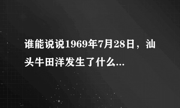 谁能说说1969年7月28日，汕头牛田洋发生了什么事，我要详细的资料。