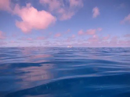 在这个物欲横流的世界里，一切都是那么的不尽人意