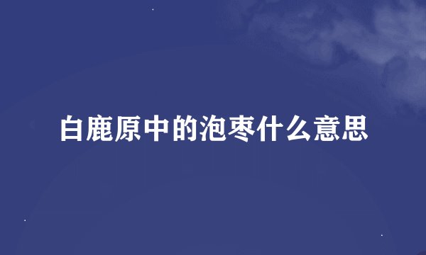 白鹿原中的泡枣什么意思