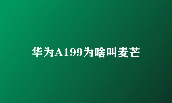 华为A199为啥叫麦芒
