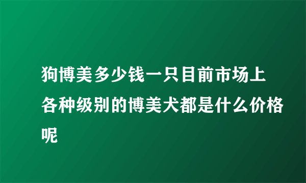 狗博美多少钱一只目前市场上各种级别的博美犬都是什么价格呢