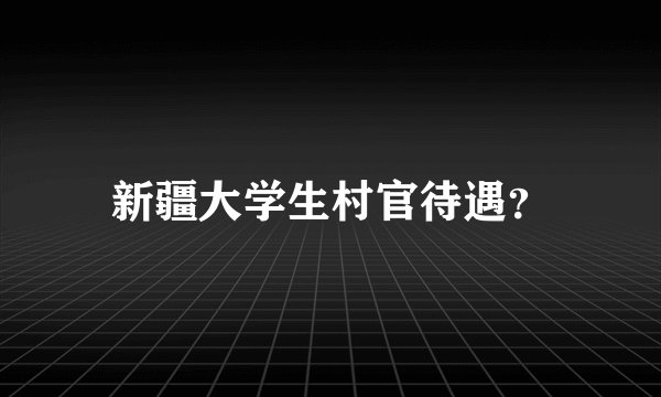 新疆大学生村官待遇？
