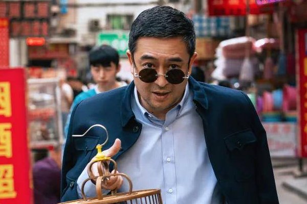 闫妮张嘉译合作的电视剧