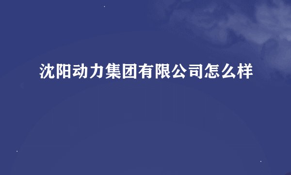 沈阳动力集团有限公司怎么样