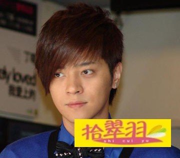 罗志祥的斜庞克发型怎么剪、求细节的。。