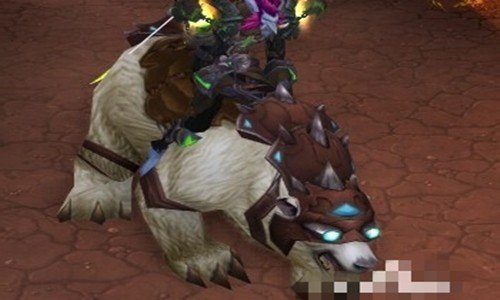 魔兽世界白色北极熊在哪