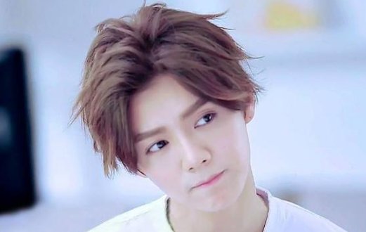 鹿晗毕业于什么大学