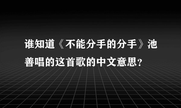 谁知道《不能分手的分手》池善唱的这首歌的中文意思？