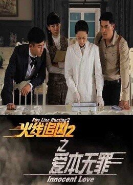 火线追凶2之爱本无罪的介绍