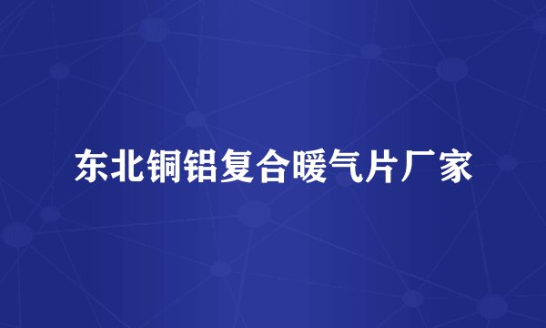 东北铜铝复合暖气片厂家