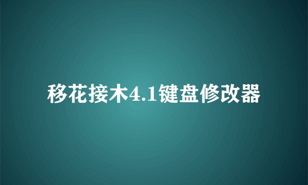 移花接木4.1键盘修改器