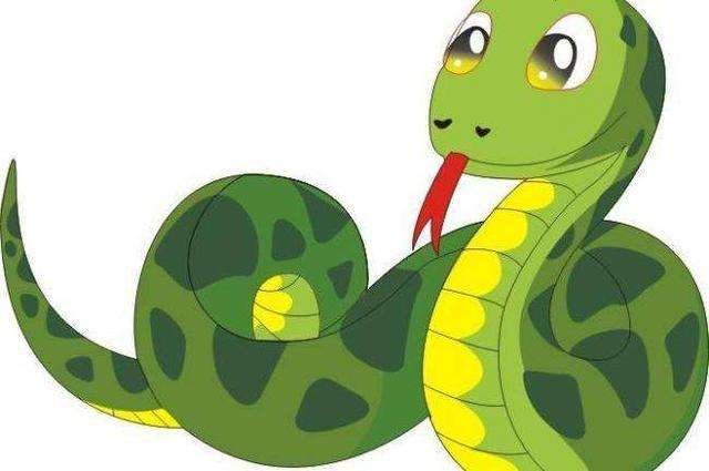 在农村看到王锦蛇在吃眼镜王蛇，为什么无毒的王锦蛇竟然可以制服眼镜王蛇？