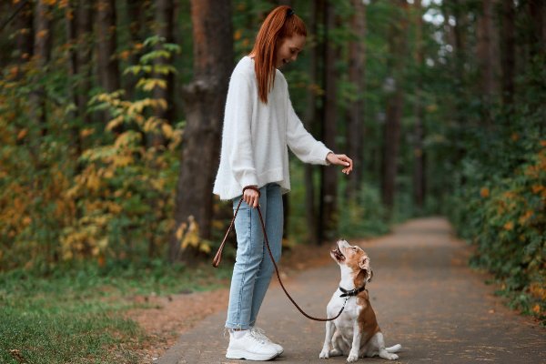 萌是什么意思啊？