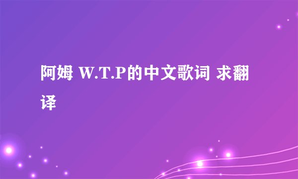 阿姆 W.T.P的中文歌词 求翻译
