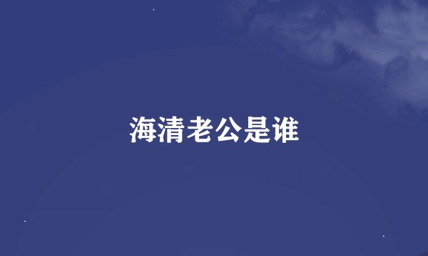 海清老公是谁