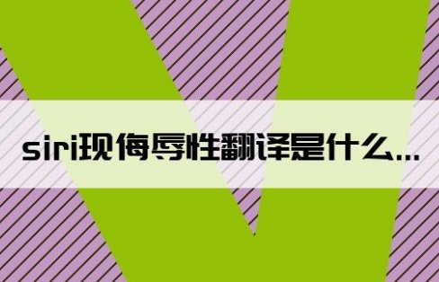 siri侮辱性翻译什么意思