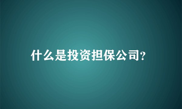 什么是投资担保公司？