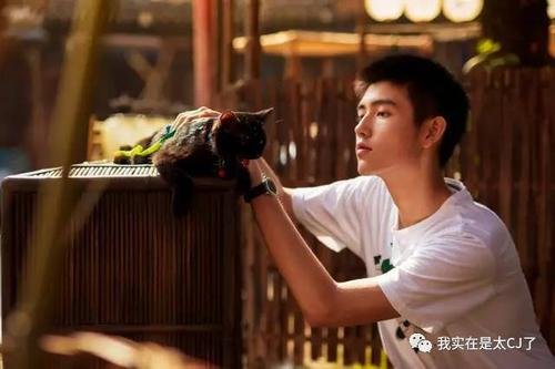 葛优陈飞宇时隔10年以后再次合作，他俩在《赵氏孤儿》里出演什么角色？