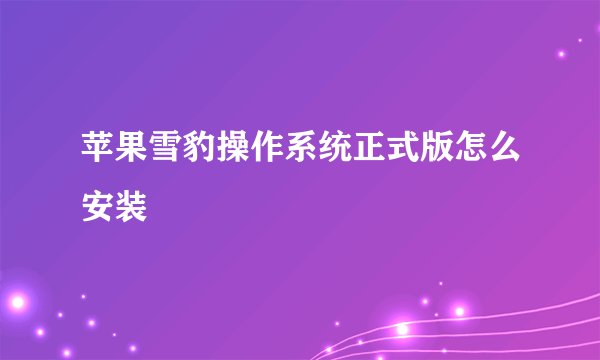 苹果雪豹操作系统正式版怎么安装