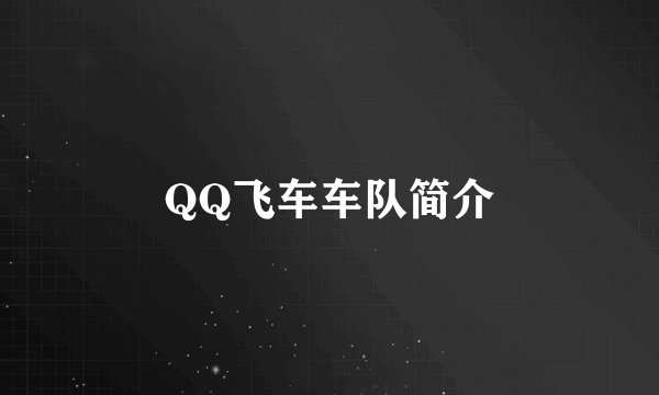 QQ飞车车队简介