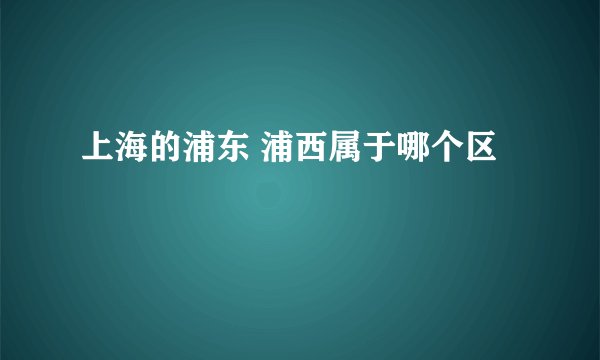 上海的浦东 浦西属于哪个区