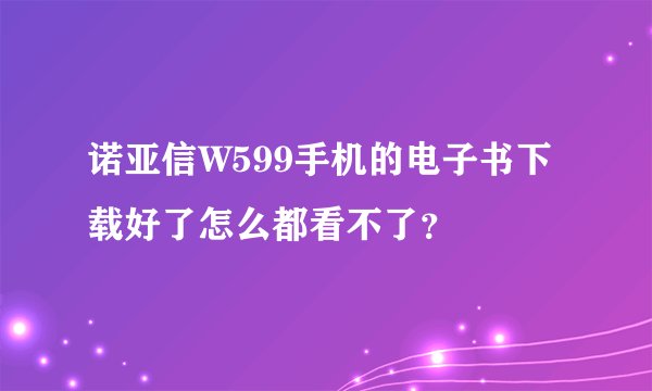 诺亚信W599手机的电子书下载好了怎么都看不了？