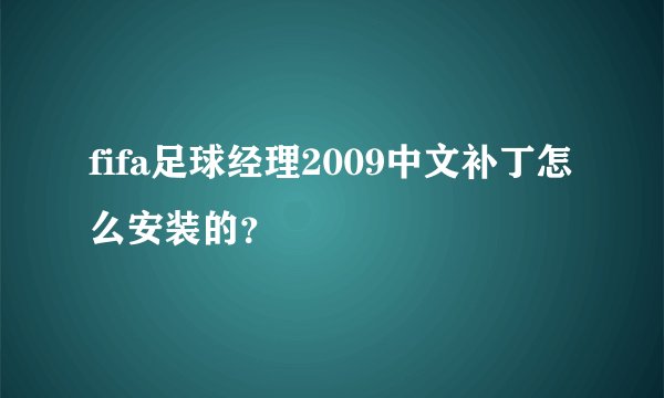 fifa足球经理2009中文补丁怎么安装的？