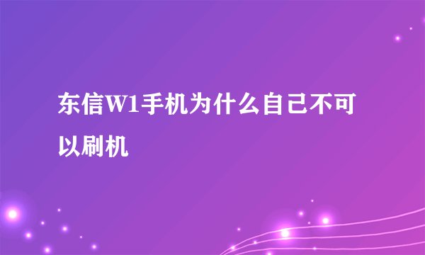东信W1手机为什么自己不可以刷机