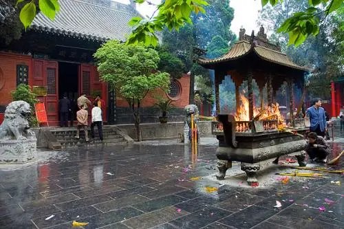 河南白马寺遇玉米大丰收，游客纷纷前去帮忙，你如何看待游客们的这一举动？