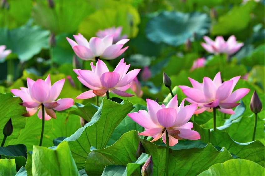 非诚勿扰2中的《见与不见》是谁写的